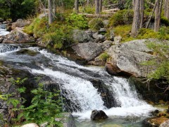 Parc national de la Gaspésie